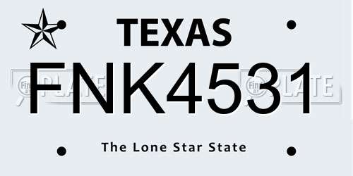 FNK4531 Texas License Plate