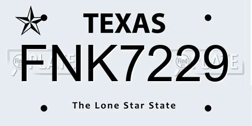 FNK7229 Texas License Plate