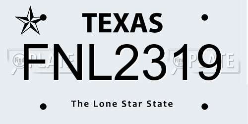 FNL2319 Texas License Plate