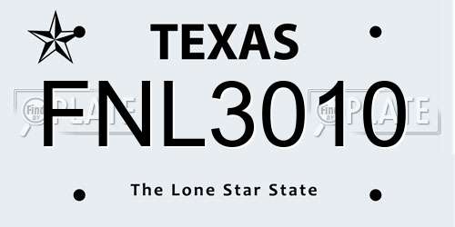 FNL3010 Texas License Plate