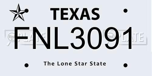 FNL3091 Texas License Plate
