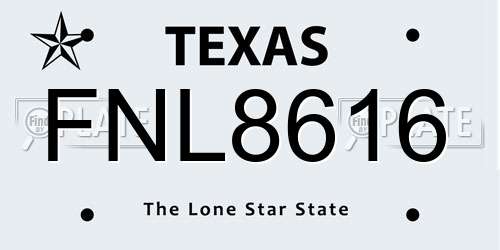 FNL8616 Texas License Plate