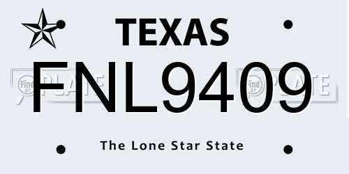 FNL9409 Texas License Plate