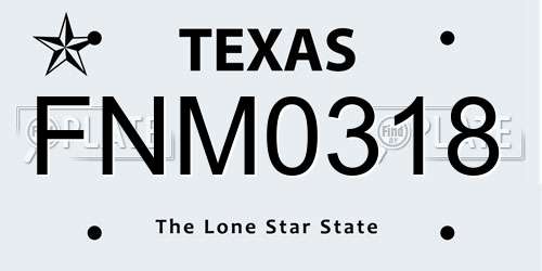 FNM0318 Texas License Plate