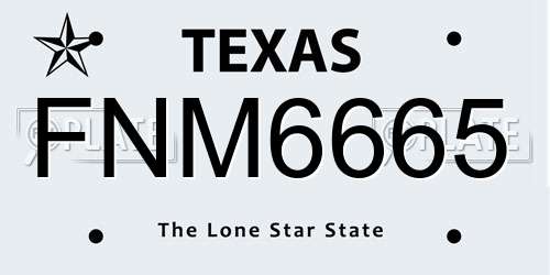 FNM6665 Texas License Plate