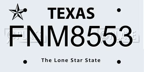 FNM8553 Texas License Plate