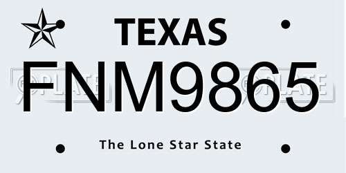 FNM9865 Texas License Plate