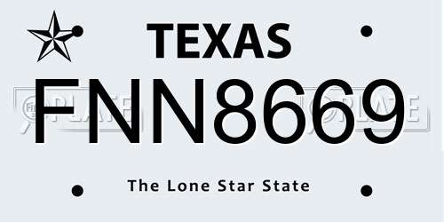 FNN8669 Texas License Plate