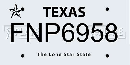 FNP6958 Texas License Plate