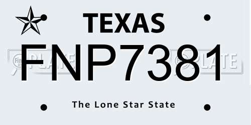 FNP7381 Texas License Plate