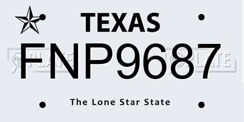FNP9687 Texas License Plate