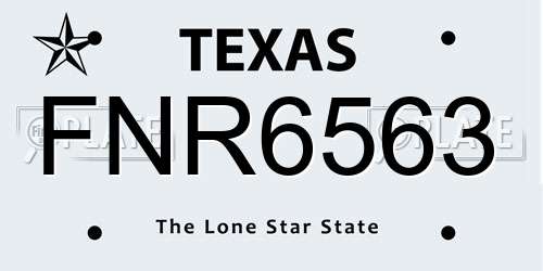 FNR6563 Texas License Plate