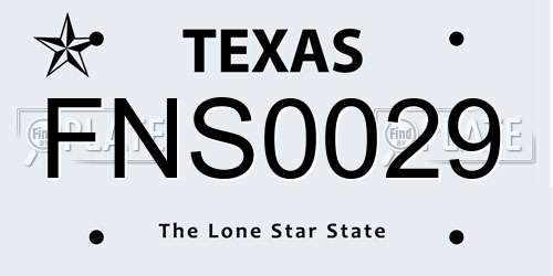 FNS0029 Texas License Plate