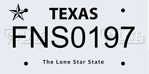 FNS0197 Texas License Plate