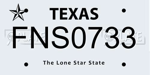 FNS0733 Texas License Plate