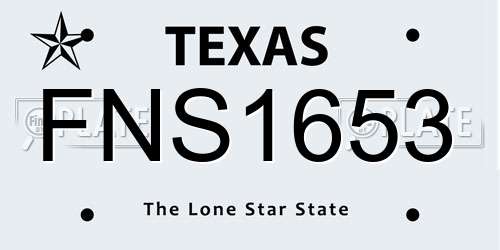 FNS1653 Texas License Plate