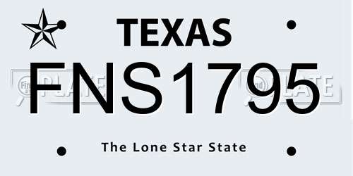 FNS1795 Texas License Plate