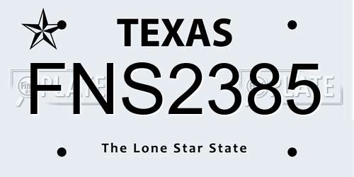 FNS2385 Texas License Plate