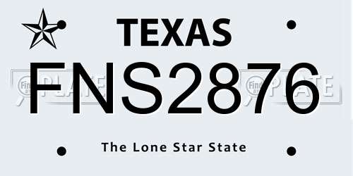 FNS2876 Texas License Plate