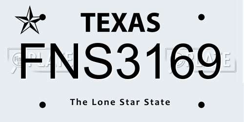FNS3169 Texas License Plate