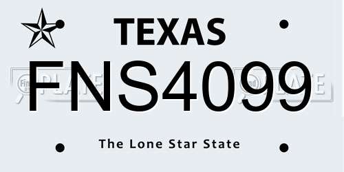 FNS4099 Texas License Plate