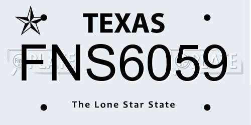 FNS6059 Texas License Plate