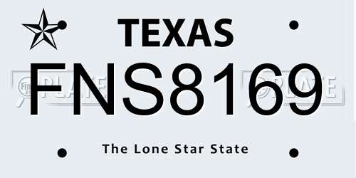 FNS8169 Texas License Plate