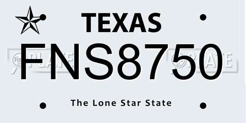 FNS8750 Texas License Plate