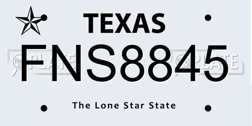 FNS8845 Texas License Plate