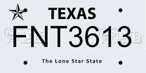 FNT3613 Texas License Plate