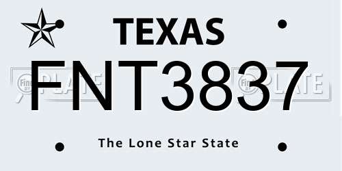 FNT3837 Texas License Plate