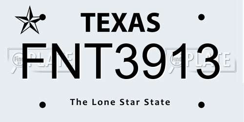 FNT3913 Texas License Plate
