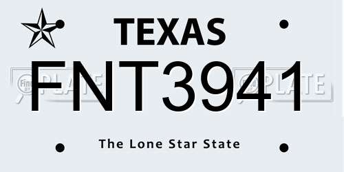FNT3941 Texas License Plate