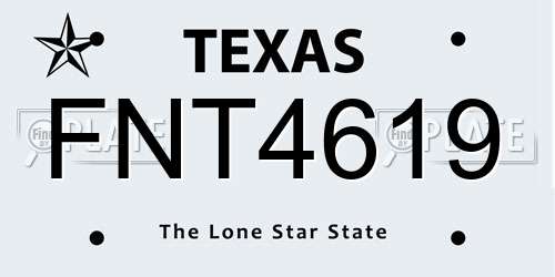 FNT4619 Texas License Plate