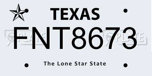 FNT8673 Texas License Plate