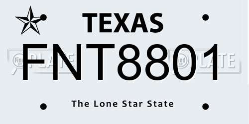 FNT8801 Texas License Plate