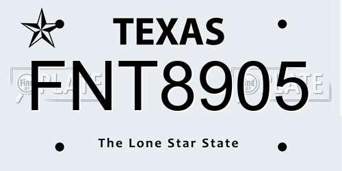 FNT8905 Texas License Plate