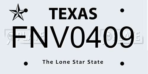 FNV0409 Texas License Plate
