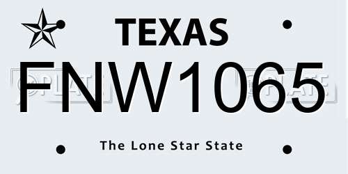 FNW1065 Texas License Plate