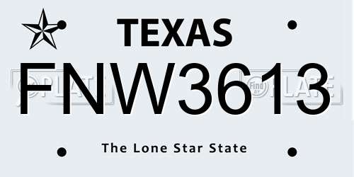 FNW3613 Texas License Plate