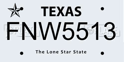 FNW5513 Texas License Plate