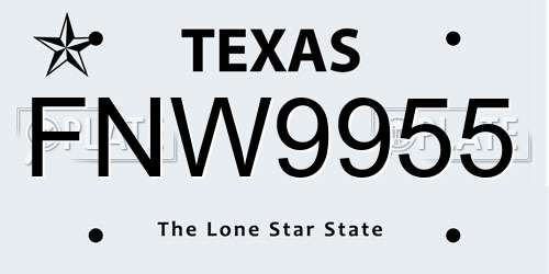 FNW9955 Texas License Plate