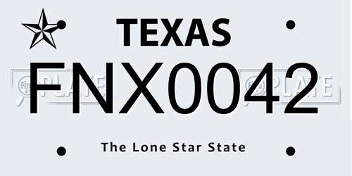 FNX0042 Texas License Plate