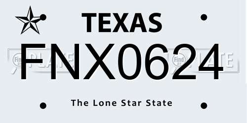 FNX0624 Texas License Plate