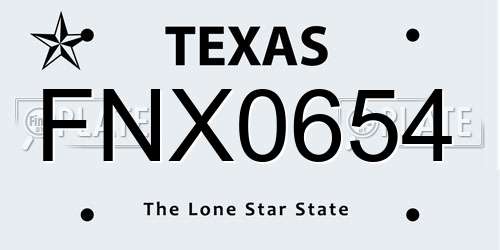 FNX0654 Texas License Plate
