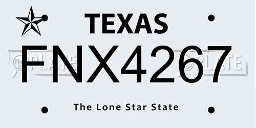 FNX4267 Texas License Plate