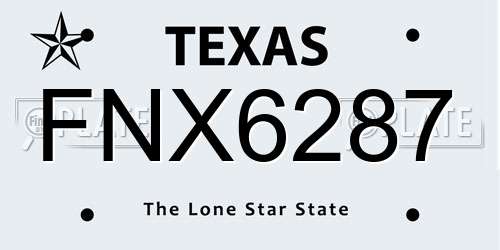 FNX6287 Texas License Plate