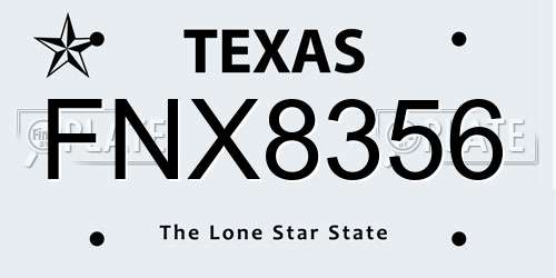 FNX8356 Texas License Plate