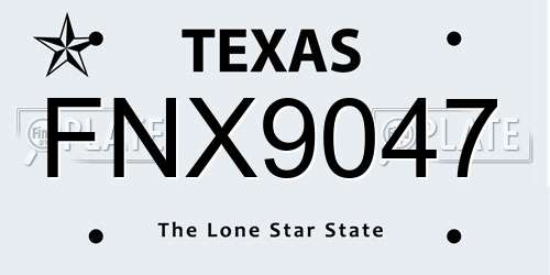 FNX9047 Texas License Plate
