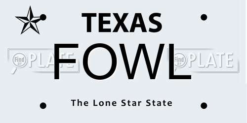 FOWL Texas License Plate